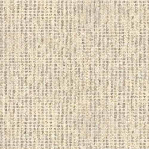 Brussels by Masland Carpets - Seashell