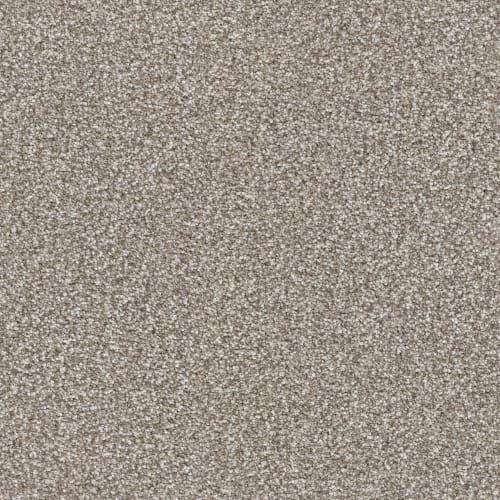 Hunter by Masland Carpets - Pongo