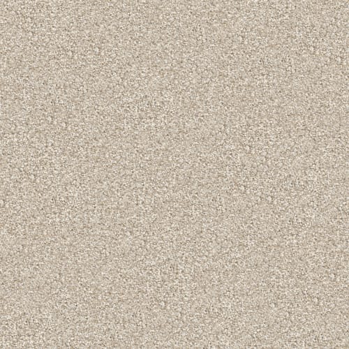 Hunter by Masland Carpets - Slinky