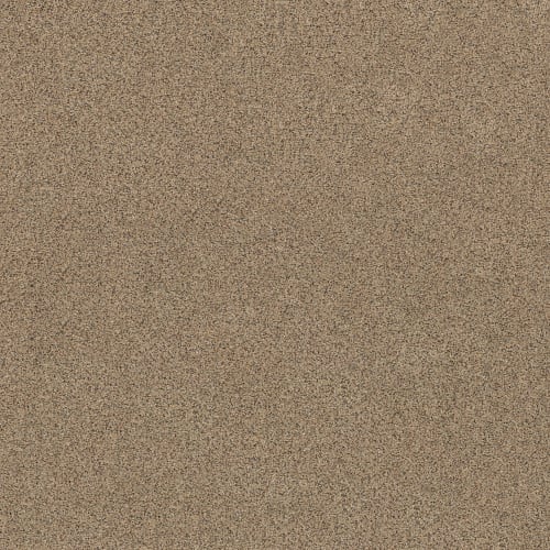 Lavish by Anything Goes! - Travertine