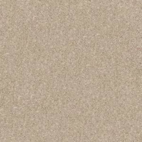 Dyersburg Classic 12' Dusty Trail by Shaw Industries Aberdeen, NC