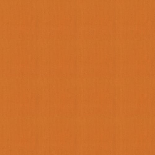 Color Accents by Shaw Industries - Orange