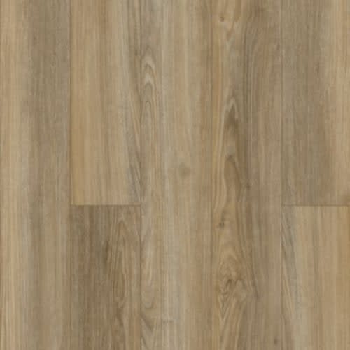 Discovery Ridge by Solidtech Essentials - Brushed Beige