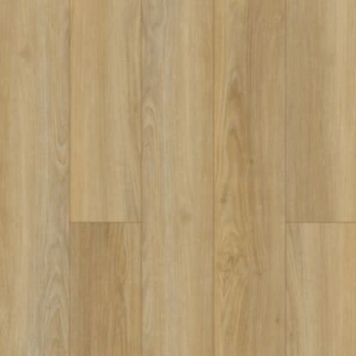 Discovery Ridge by Mohawk - Solidtech Select - Coffee House Tan