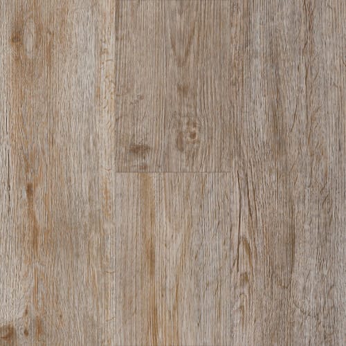 Homestead Oak