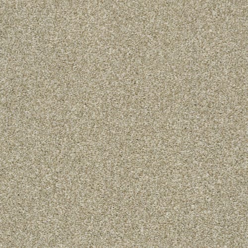 Cabana Life (T) by Shaw Floors Retail - Wheat Field