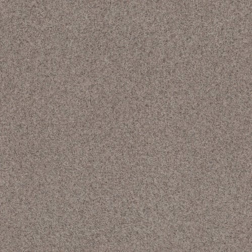 Work IT Out by Shaw Industries - Pewter Taupe