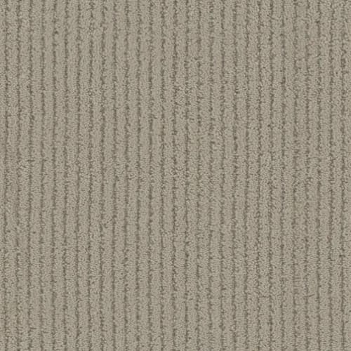 Carpet Flooring, Renopedia Wiki