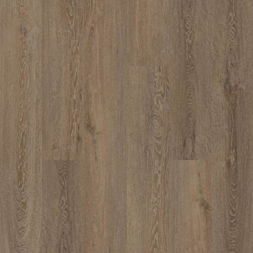 Laurent Oak