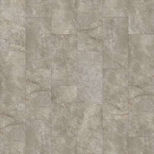 Paragon Tile Plus by Shaw Industries - Dolomite