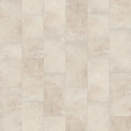 Paragon Tile Plus by Shaw Industries - Shale