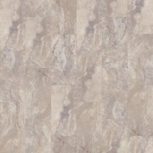 Paragon Tile Plus by Shaw Industries - Pebble