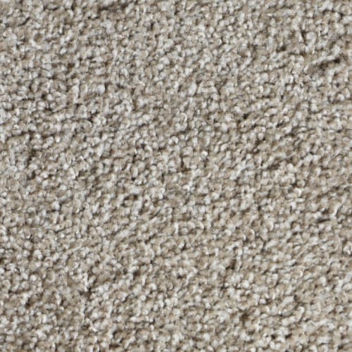 Carpet Collection by Garvey's Exclusive - Cookies & Cream