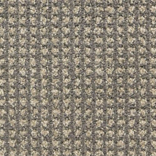 Alpha by Masland Carpets - Grey Matter