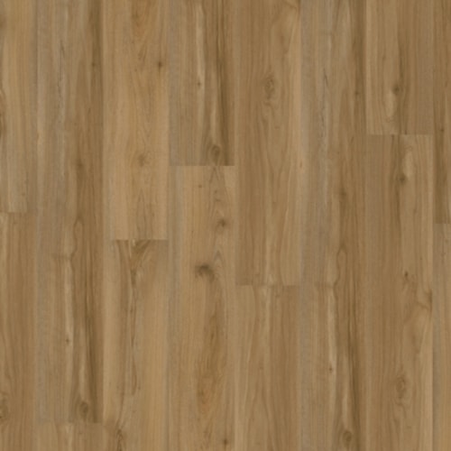 Prosolutions 20 by Chesapeake Flooring