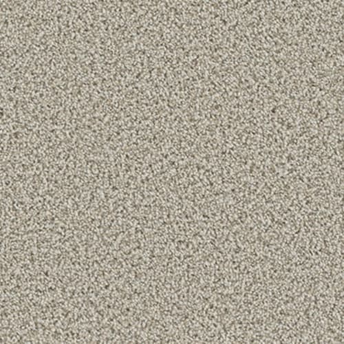 Collie by Chesapeake Flooring - Stucco