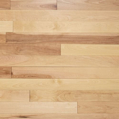 Cedar