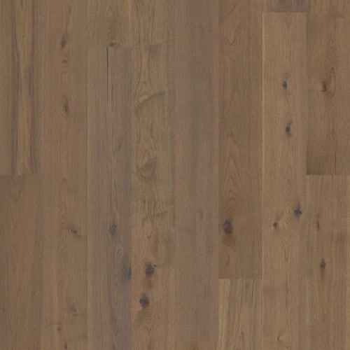 Kingston Hickory by Shaw Industries