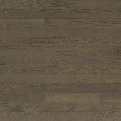 Decor Red Oak - Engineered by Lauzon - Expert - Chasca 3.125
