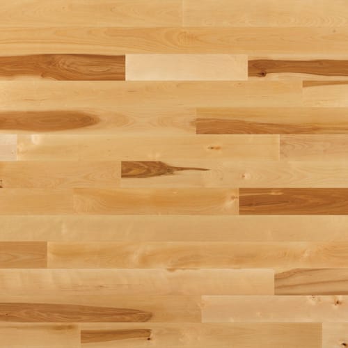 Essential Yellow Birch - Solid by Lauzon - Expert - Natural, Tradition 2.25