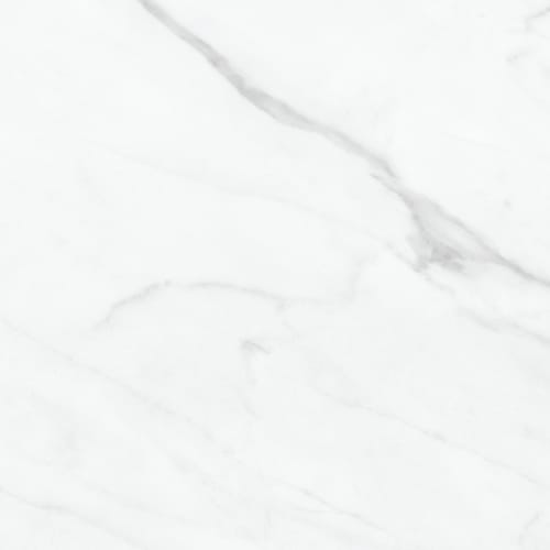 Altezza by Anatolia - Carrara 12X24 Pressed Matte