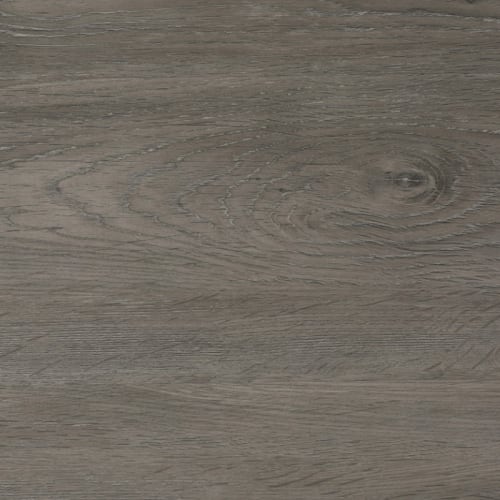 Maestro Plus by Opus Floors Canada - Beecham Grey