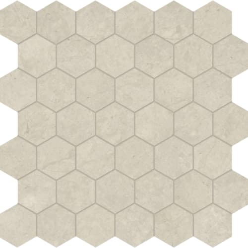 Hexagon Mosaic Honed