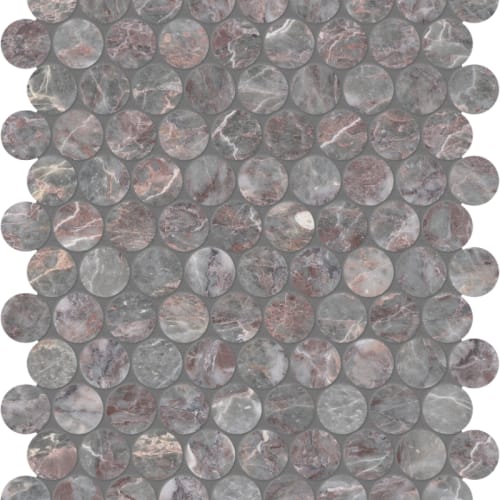 Penny Round Mosaic Honed