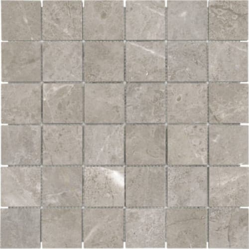 Ritz Gray by Anatolia - 2X2 In Polished