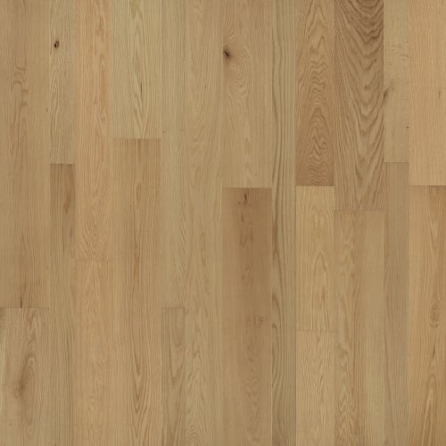 Capri Plank Acacia Natural - Forest Accents