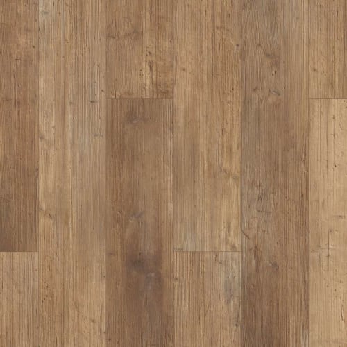 Iverness by Shaw Industries - Touch Pine