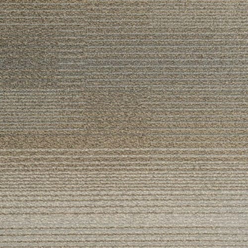 Development by Tas Flooring