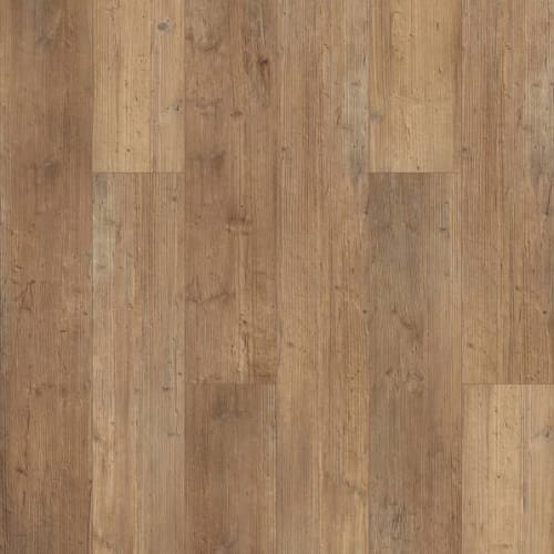 Iverness by Shaw Industries - Touch Pine