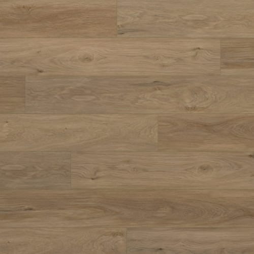 Astoria by Evoke Flooring - Gryffin