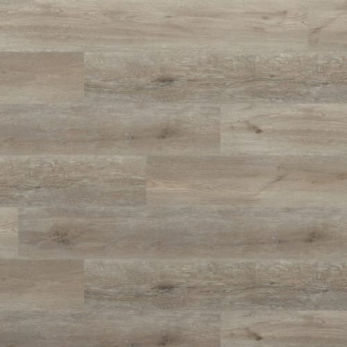 Solis by Evoke Flooring - Becca