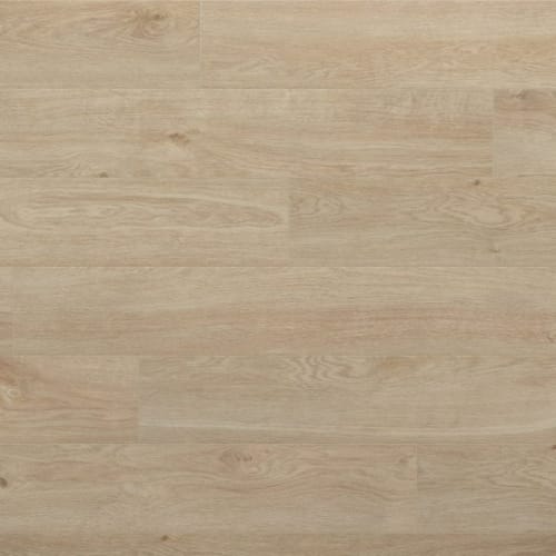 Surge - Coastal by Evoke Flooring - Frieda