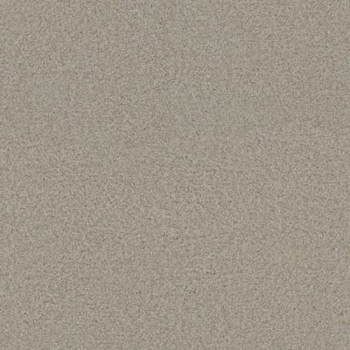 Floorever™ - Surpass by Phenix Carpet - Go Beyond