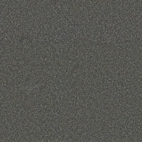 Floorever™ - Surpass by Phenix Carpet - Outshine