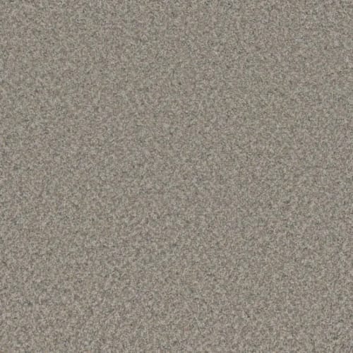 Floorever™ - Surpass by Phenix Carpet - Prosper