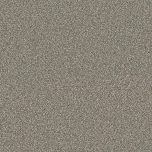 Floorever™ - Surpass by Phenix Carpet - Transcend