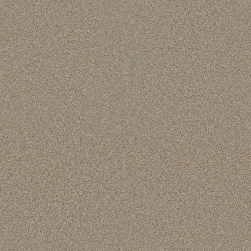 Floorever™ - Succeed by Phenix Carpet - Gain