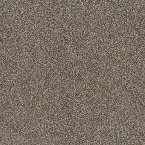 Floorever™ Petplus - Portofino by Phenix Carpet - Nature's Wonder