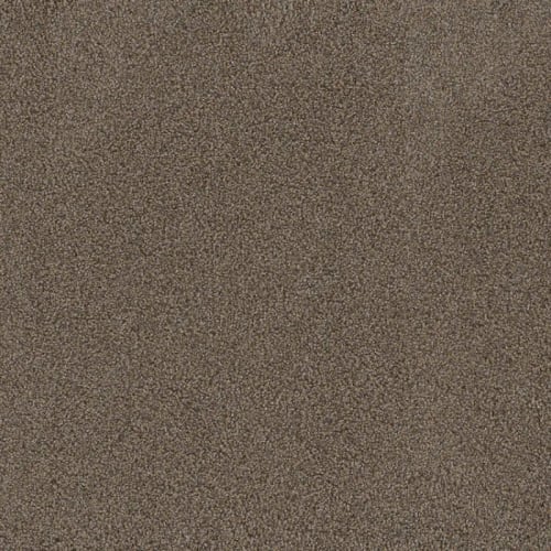 Floorever™ Petplus - Portofino by Phenix Carpet - Escape