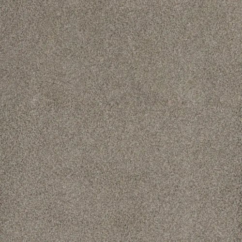 Floorever™ Petplus - Portofino by Phenix Carpet