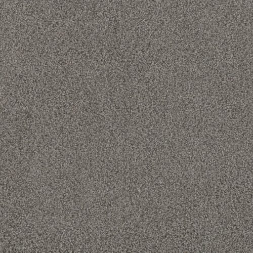 Floorever™ Petplus - Portofino by Phenix Carpet - Harbour Town