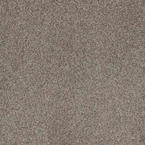 Floorever™ Petplus - Portofino by Phenix Carpet - Mecca