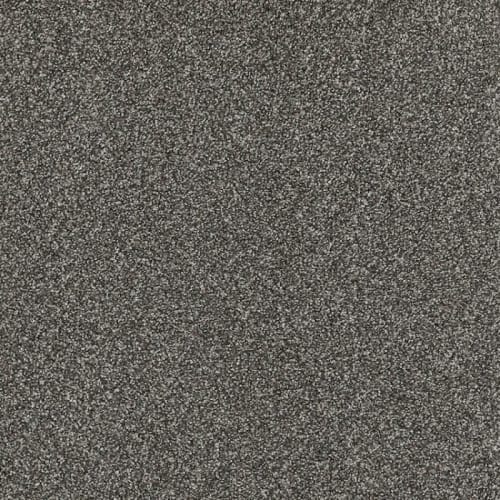 Floorever™ Petplus - Portofino by Phenix Carpet - Midnight Oasis