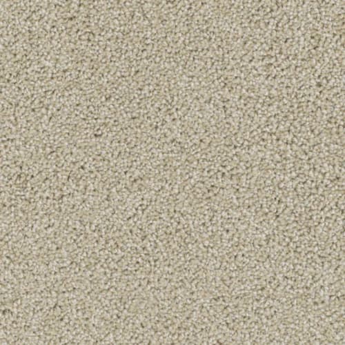 Floorever™ - Ovation by Phenix Carpet