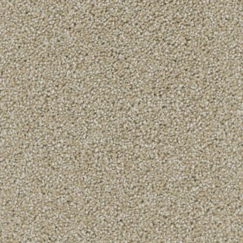 Floorever™ - Ovation by Phenix Carpet - Hospitality