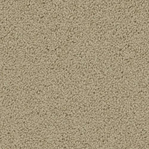 Floorever™ - Ovation by Phenix Carpet - Curtain Call